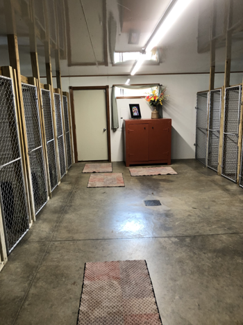 entrance to bow wow's boutique located in Atwater Ohio