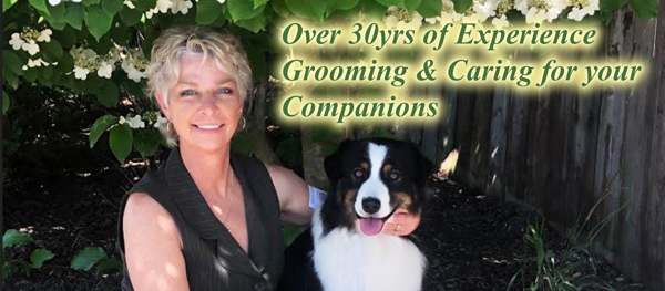 bow wow's boutique lori and her aussie